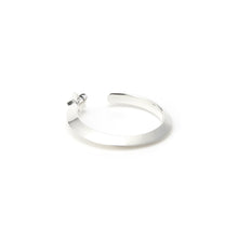 画像をギャラリービューアに読み込む, RING 734
