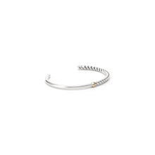 画像をギャラリービューアに読み込む, BANGLE 1014
