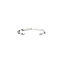 画像をギャラリービューアに読み込む, BANGLE 1015
