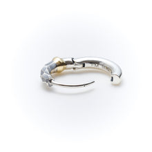 画像をギャラリービューアに読み込む, EARRING 1088
